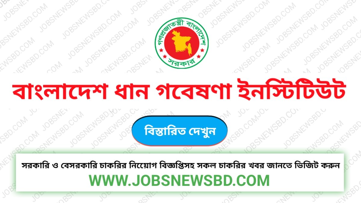 BRRI Job Circular 2026 | বাংলাদেশ ধান গবেষণা ইনস্টিটিউট নিয়োগ